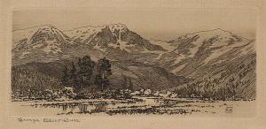 George Elbert Burr, Horseshoe Park, Rocky Mountain National Park, Colorado, etching, circa 1910-1920, engraving, fine art, for sale, denver, gallery, colorado, antique, buy, purchase