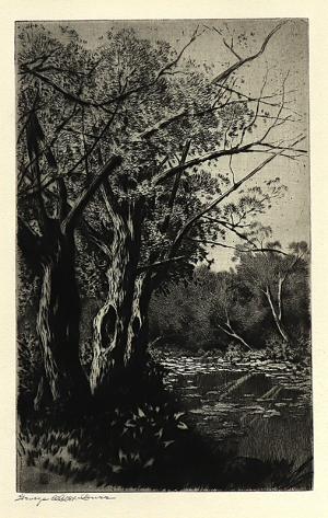 George Elbert Burr, Willows, etching, circa 1910-1930, engraving, fine art, for sale, denver, gallery, colorado, antique, buy, purchase