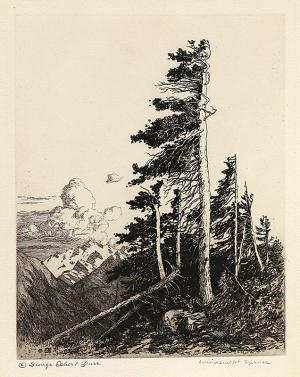George Elbert Burr, Windswept Spruce , Colorado, etching, 1917, engraving, fine art, for sale, denver, gallery, colorado, antique, buy, purchase