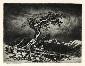 George Elbert Burr, Timberline Pine , Colorado, etching, 1917, engraving, fine art, for sale, denver, gallery, colorado, antique, buy, purchase