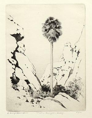 George Elbert Burr, Palm Canyon, California , Desert Set, etching, circa 1921, engraving, fine art, for sale, denver, gallery, colorado, antique, buy, purchase