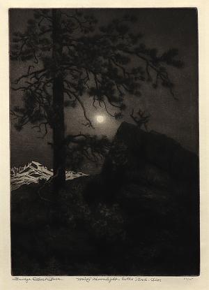 George Elbert Burr, Misty Moonlight, Estes Park, Colorado, etching, circa 1915, engraving, fine art, for sale, denver, gallery, colorado, antique, buy, purchase