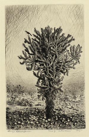 George Elbert Burr, Nest of Cactus Wren, Arizona, etching, circa 1925, engraving, fine art, for sale, denver, gallery, colorado, antique, buy, purchase