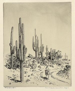 George Elbert Burr, Road to Apache Reservation, Arizona, etching, circa 1925, engraving, fine art, for sale, denver, gallery, colorado, antique, buy, purchase