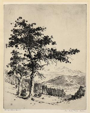 George Elbert Burr, In Estes Park, Colorado, etching, circa 1915, engraving, fine art, for sale, denver, gallery, colorado, antique, buy, purchase