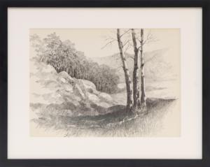 Herbert E. Thomson, Aspen Grove, Colorado, landscape, graphite, pencil, drawing, mountain, traditional, realist, black, white, gray, Art, for sale, Denver, Colorado, gallery, purchase, vintage 