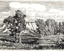 sandzén, Sven Birger Sandzen, "In the Meadow, edition of 50", lithograph, 1917
