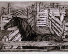 Ethel Magafan, "Corralled Horse, Artists Proof", etching, c. 1947