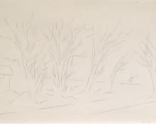 Andrew Michael Dasburg, "Untitled (Trees Along Chantet Lane)", graphite on paper, 1971