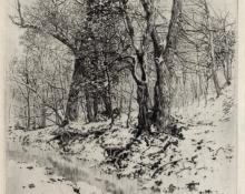 George Elbert Burr, "Woods in Winter", etching, c. 1915 painting for sale