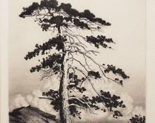 George Elbert Burr, "Sentinel Pine (Culebra/Snowy Range, Colorado)", etching, c. 1910