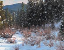 Stephen Day, "Winter Along the Upper Colorado River (Rocky Mountain National Park)", oil, 2012