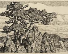 Sven Birger Sandzen, "Pine and Juniper (Edition of 50)", lithograph, 1922