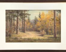 Elsie Haynes Colorado pastel artist woman for sale purchase