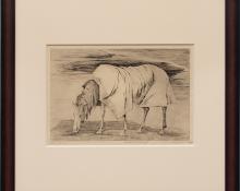 Ethel Magafan, "Lone Horse, Artist Proof", etching, 1947 for sale purchase consign sell auction art gallery museum denver colorado