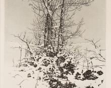 George Elbert Burr, "December", etching