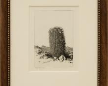 George Elbert Burr, "Barrel Cactus, Arizona; edition of 40", etching, circa  1921 painting fine art for sale purchase buy sell auction consign denver colorado art gallery museum