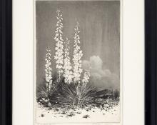 George Elbert Burr, "Soapweed, Arizona (no. 2); edition of 40 (from the Desert Set)", etching, circa 1924 painting fine art for sale purchase buy sell auction consign denver colorado art gallery museum   