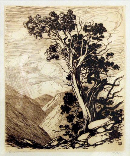 George Elbert Burr, "Untitled (Old Tree at Timberline), 18/25", etching, c. 1920 painting for sale