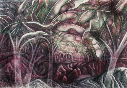 Ross Eugene Braught, "Forest Interior", ink, c. 1950