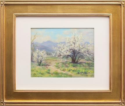 Elsie Haddon Haynes, "Plum Blossom, Shadow Valley Gardens (Wheat Ridge, Colorado)", pastel, c. 1940 for sale purchase consign auction denver Colorado art gallery museum