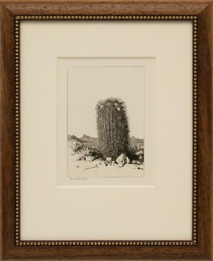 George Elbert Burr, "Barrel Cactus, Arizona; edition of 40", etching, circa  1921 painting fine art for sale purchase buy sell auction consign denver colorado art gallery museum