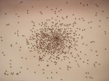 Edward Joseph Ruscha, "Swarm of Red Ants (Insect Portfolio)", serigraph/silkscreen, 1972