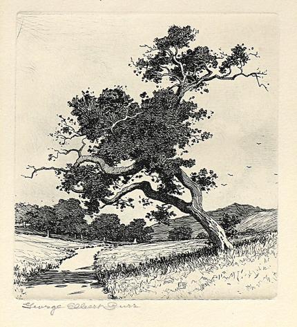 George Elbert Burr, A Santa Barbara Road, California, etching, circa 1913, engraving, fine art, for sale, denver, gallery, colorado, antique, buy, purchase