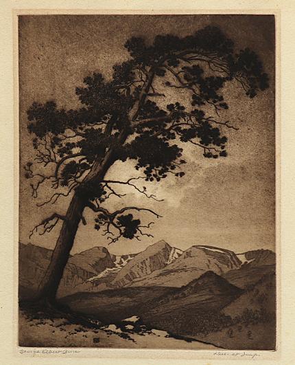 George Elbert Burr, The Leaning Pine , Estes Park, Colorado, Mountain Moods, etching, circa 1916, engraving, fine art, for sale, denver, gallery, colorado, antique, buy, purchase
