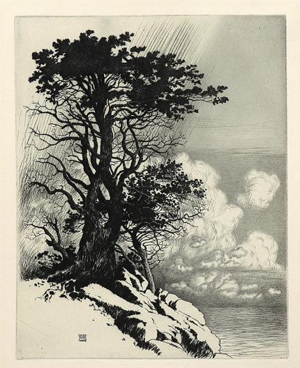 George Elbert Burr, Coast at Monterey, California, etching, circa 1925, engraving, fine art, for sale, denver, gallery, colorado, antique, buy, purchase