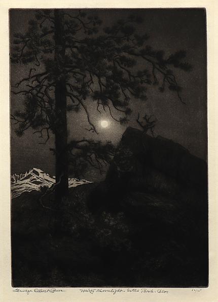 George Elbert Burr, Misty Moonlight, Estes Park, Colorado, etching, circa 1915, engraving, fine art, for sale, denver, gallery, colorado, antique, buy, purchase