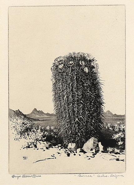 George Elbert Burr, Barrel Cactus, Arizona , Desert Set, etching, circa 1921, engraving, fine art, for sale, denver, gallery, colorado, antique, buy, purchase