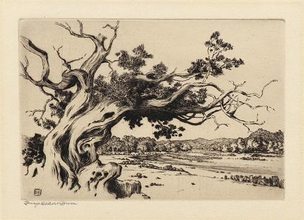 George Elbert Burr, Hassayampa River, Arizona, etching, circa 1925, engraving, fine art, for sale, denver, gallery, colorado, antique, buy, purchase