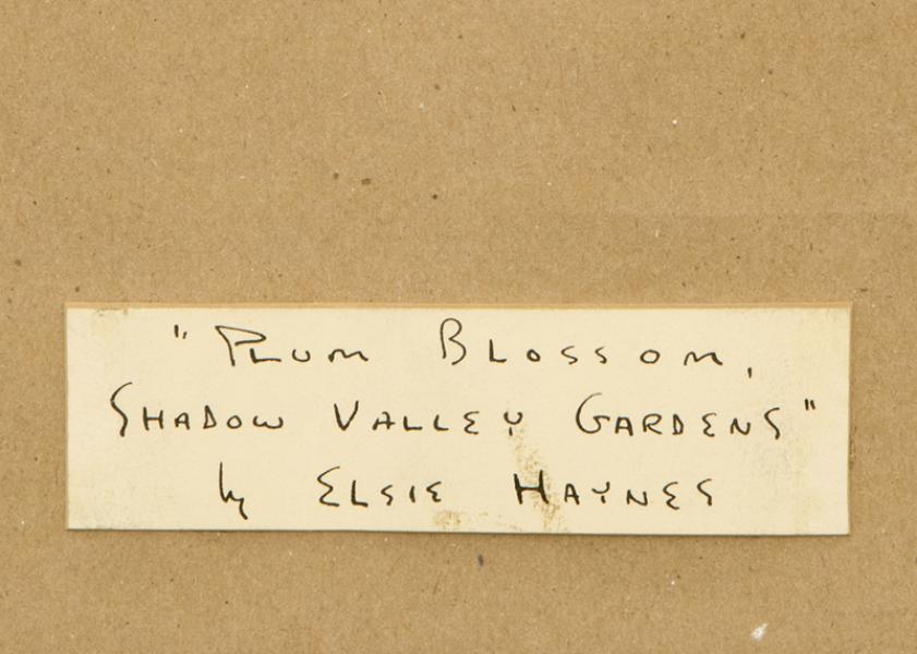 Elsie Haddon Haynes, 