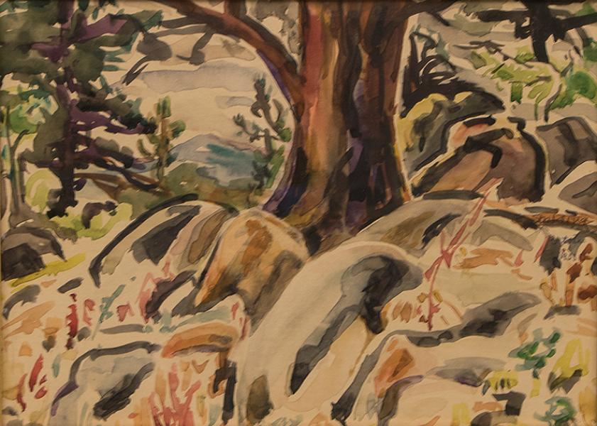 elisabeth spalding elizabeth colorado woman artist modernist landcape plein air watercolor painting forest trees pine