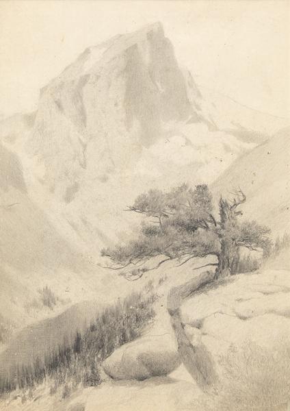 Charles Partridge Adams, landscape drawing, Mountain Peak and Twisted Pine