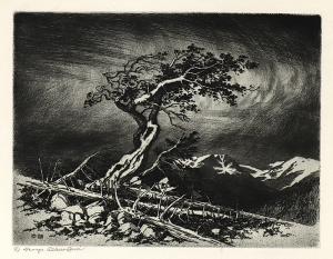 George Elbert Burr, Timberline Pine , Colorado, etching, 1917, engraving, fine art, for sale, denver, gallery, colorado, antique, buy, purchase