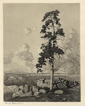 George Elbert Burr, Solitary Pine , Mountain Moods, etching, circa 1916, engraving, fine art, for sale, denver, gallery, colorado, antique, buy, purchase