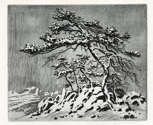 George Elbert Burr, Untitled , Snow Storm, Estes Park, etching, circa 1910-1920, engraving, fine art, for sale, denver, gallery, colorado, antique, buy, purchase