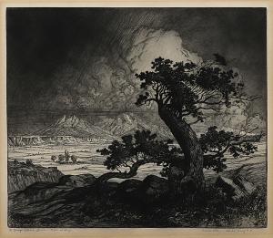 George Elbert Burr, Old Cedars and Spanish Peaks , Colorado, etching, circa 1922, engraving, fine art, for sale, denver, gallery, colorado, antique, buy, purchase