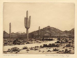 George Elbert Burr, Road to Paradise Valley, Arizona, etching, circa 1925, engraving, fine art, for sale, denver, gallery, colorado, antique, buy, purchase