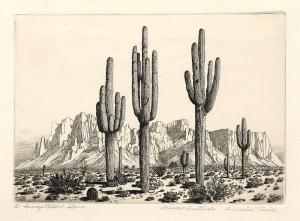George Elbert Burr, Desert Sentinels, Apache Trail , Arizona, etching, circa 1925, engraving, fine art, for sale, denver, gallery, colorado, antique, buy, purchase