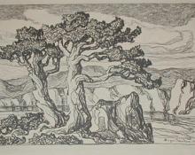 Sven Birger Sandzen, "Arroyo with Trees, edition of 100", lithograph, 1925