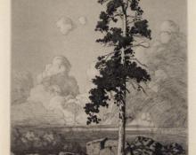 George Elbert Burr, "Solitary Pine", etching, c. 1916 painting for sale