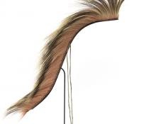 Roach, Plains, last quarter of the 19th century hair headdress 19th century Native American Indian antique vintage art for sale purchase auction consign denver colorado art gallery museum