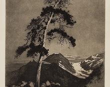 George Elbert Burr, "Mt. Chapin - Estes Park", etching, c. 1920