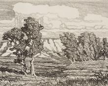 Sven Birger Sandzen, "In the Meadow, edition of 50", lithograph, 1917 print graphic work for sale purchase auction consign art gallery colorado