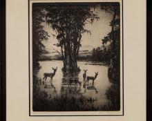 Hans Kleiber, "Virgina Deer", etching painting fine art for sale purchase buy sell auction consign denver colorado art gallery museum