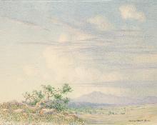 Reproduções De Belas Artes Sem título (tradução para Springtime, Paradise Valley Arizona), 1920 por George Elbert Burr (1859-1939)