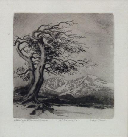 George Elbert Burr, "Windswept, Estes Park", etching, c. 1916